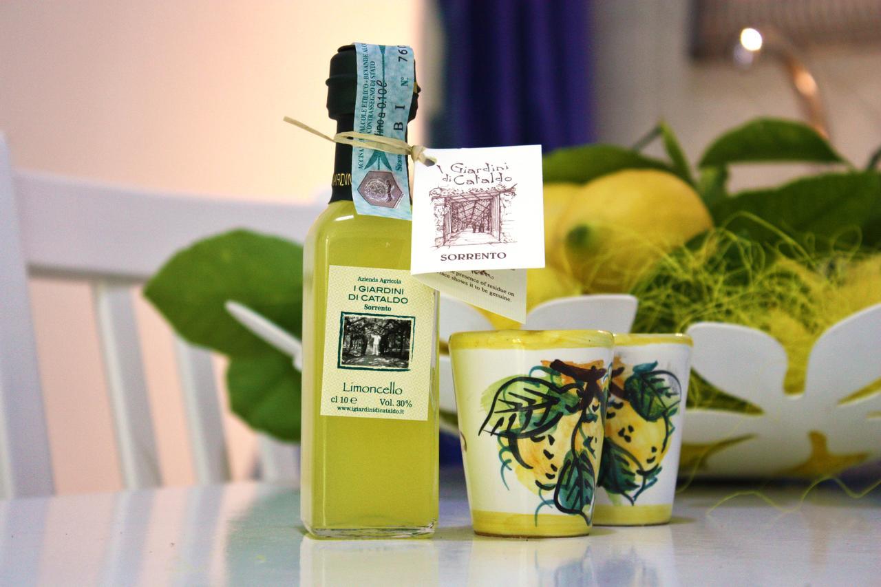 Villa Sorrento Lemons View Esterno foto