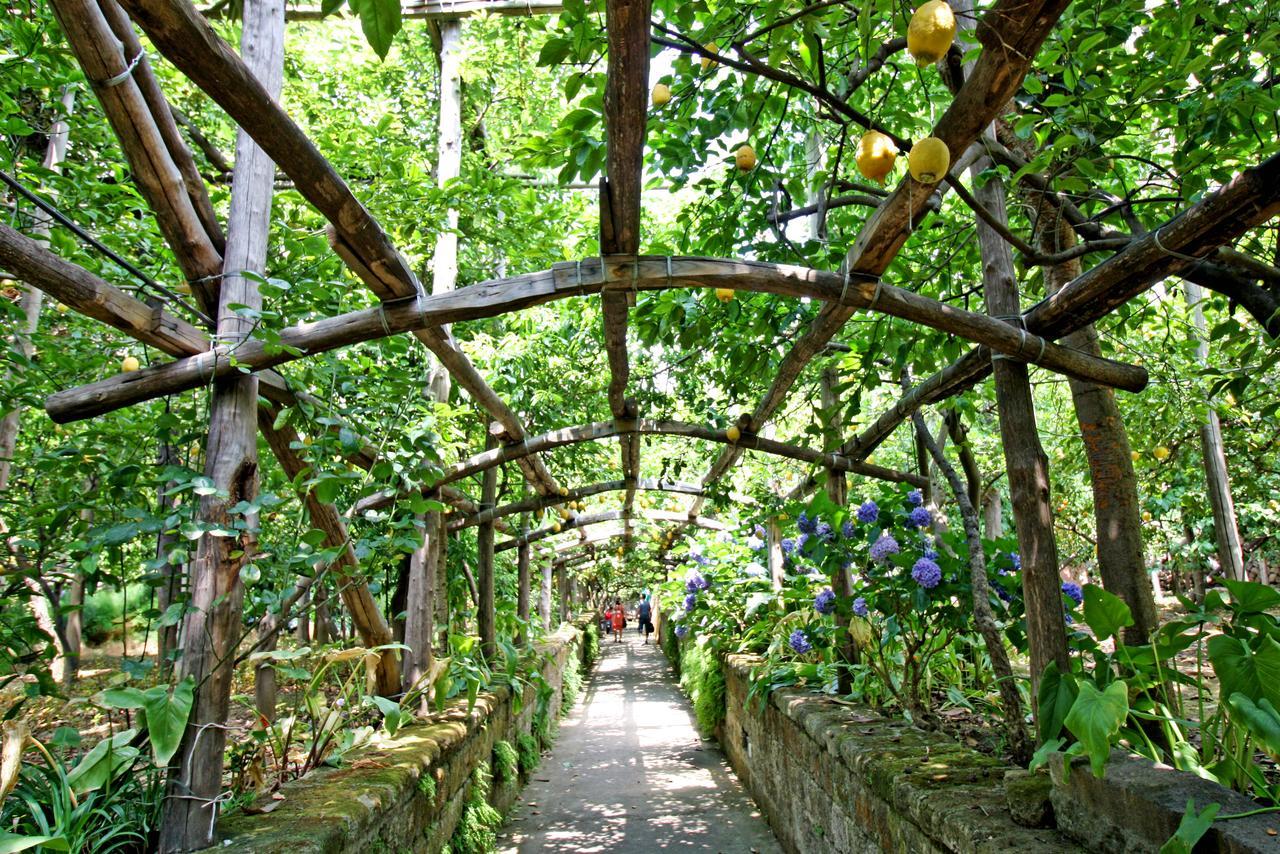 Villa Sorrento Lemons View Esterno foto