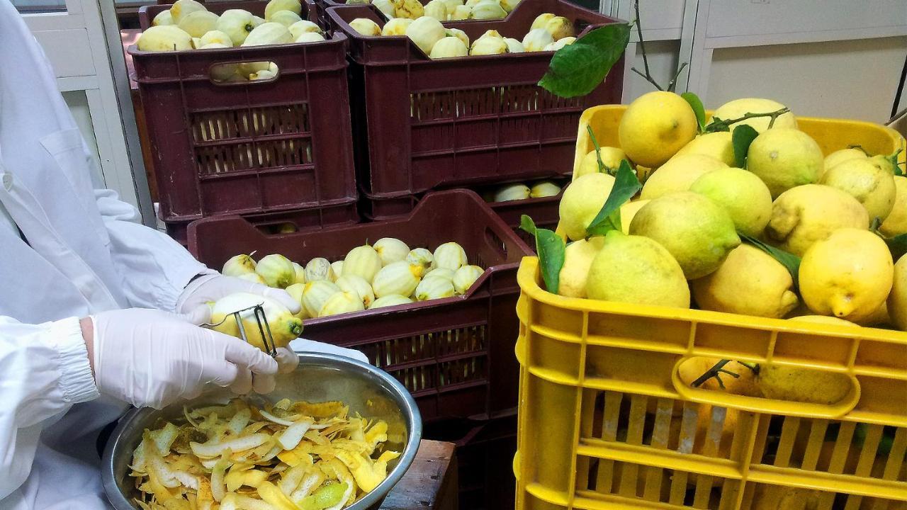 Villa Sorrento Lemons View Esterno foto